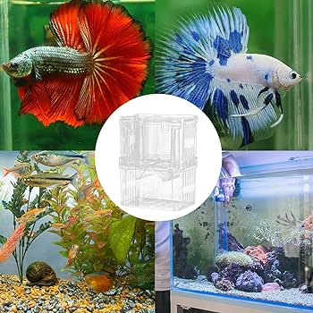 99さん専用　孵卵器 Amazon | ニッソー 産卵箱DX(L) | ニッソー | 繁殖用タンク 通販